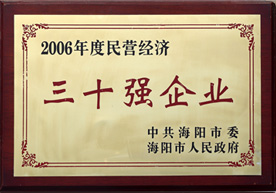  三十強(qiáng)企業(yè) 